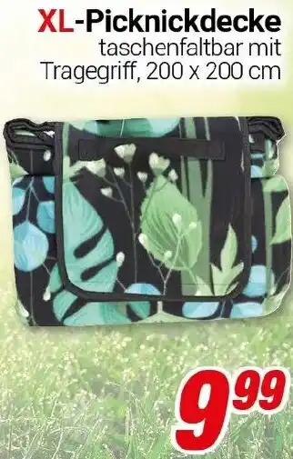 CENTERSHOP XL-Picknickdecke Angebot