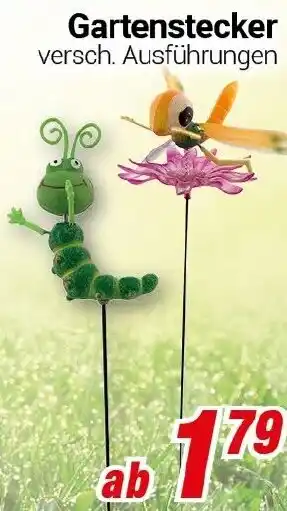CENTERSHOP Gartenstecker Angebot