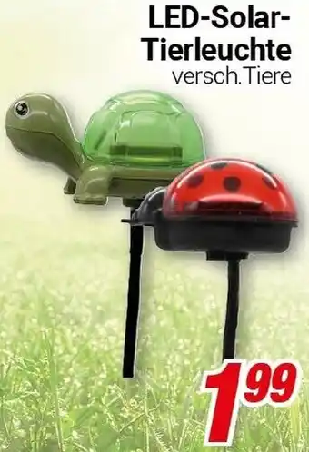 CENTERSHOP LED-Solar Tierleuchte Angebot