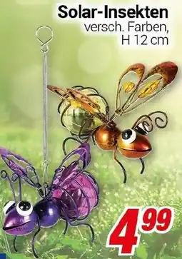 CENTERSHOP Solar-Insekten Angebot