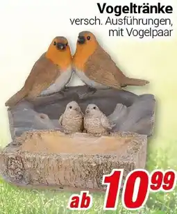CENTERSHOP Vogeltränke Angebot