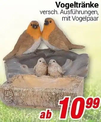CENTERSHOP Vogeltränke Angebot