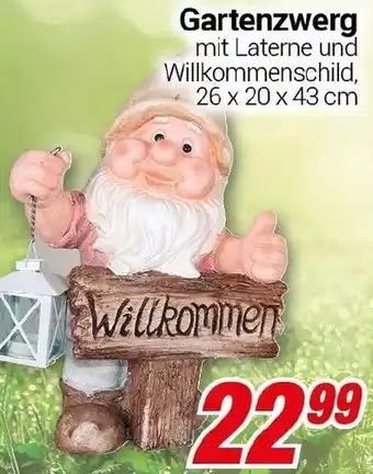 CENTERSHOP Gartenzwerg Angebot