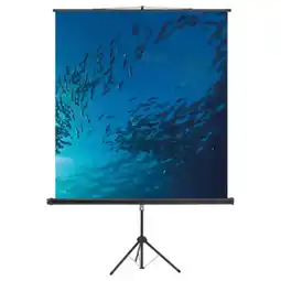Netto Marken-Discount magnetoplan Cinstativ Projektionswand-Stativ für 2000 x 2000 mm Angebot