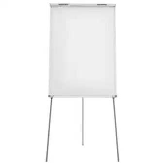 Netto Marken-Discount magnetoplan FlipchartJunior SP Angebot