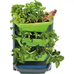 Netto Marken-Discount Juwel Vertical-Garden Grundelement limette Angebot