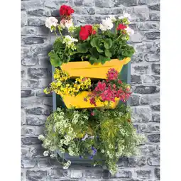 Netto Marken-Discount Juwel Vertical-Garden Grundelement safrangelb Angebot