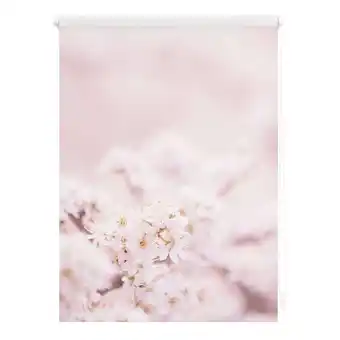 Netto Marken-Discount Lichtblick Rollo Klemmfix, ohne Bohren, blickdicht, Kirschblüten - Rosa Weiß Angebot