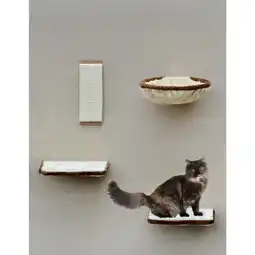 Netto Marken-Discount Silvio Design Katzen-Kletterwand 4-teilig beige-braun Angebot