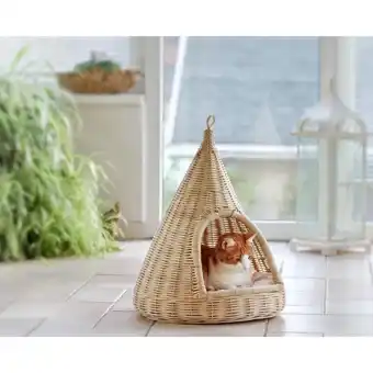 Netto Marken-Discount Silvio Design Sammy Katzen Hängekorb Angebot