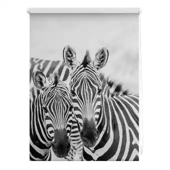 Netto Marken-Discount Lichtblick Rollo Klemmfix, ohne Bohren, blickdicht, Zebra - Schwarz Weiß Angebot