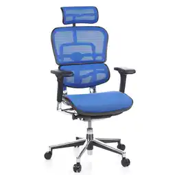 Netto Marken-Discount hjh OFFICE Luxus Chefsessel ERGOHUMAN Netzstoff mit Armlehnen (höhenverstellbar) Angebot