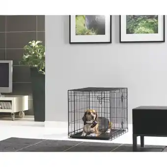 Netto Marken-Discount Dog Cottage Angebot