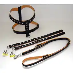 Netto Marken-Discount Führleine Stars 18mm breit / 200cm lang, Farbe schwarz Angebot