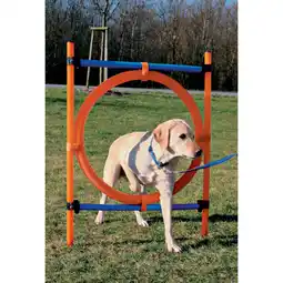Netto Marken-Discount Dog - Agility - Ring Angebot