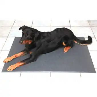 Netto Marken-Discount Hundematte, rutschfest Angebot