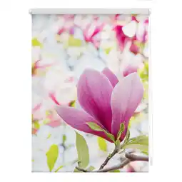 Netto Marken-Discount Lichtblick Rollo Klemmfix, ohne Bohren, blickdicht, Magnolie - Rosa Angebot