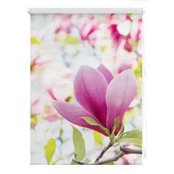 Netto Marken-Discount Lichtblick Rollo Klemmfix, ohne Bohren, blickdicht, Magnolie - Rosa Angebot