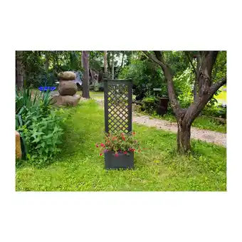 Netto Marken-Discount KHW Pflanzkasten klein mit Spalier, anthrazit Angebot