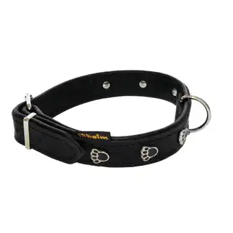 Netto Marken-Discount Halsband Pfote Angebot