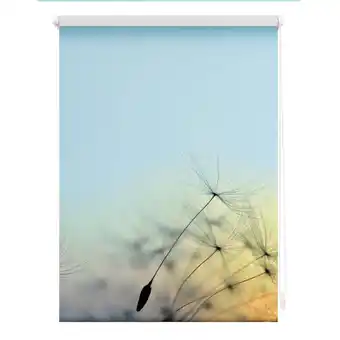 Netto Marken-Discount Lichtblick Rollo Klemmfix, ohne Bohren, blickdicht, Pusteblume - Blau Angebot