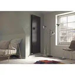 Netto Marken-Discount Ximax P1 Duplex Vertikale Paneelprofile Designheizkörper B 59,5 x H 180 x T 7,4 cm anthrazit Angebot