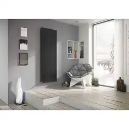 Netto Marken-Discount Ximax P1 Vertikale Paneelprofile Designheizkörper B 59,5 x H 180 x T 6,5 cm anthrazit Angebot