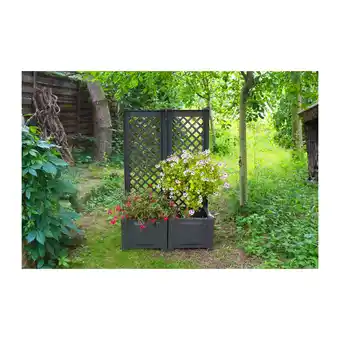 Netto Marken-Discount KHW Pflanzkasten mit Spalier 43 cm - 2er-Set, anthrazit Angebot