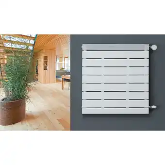 Netto Marken-Discount Ximax Pep Designheizkörper B 50 x H 50 x T 4 cm weiß Angebot