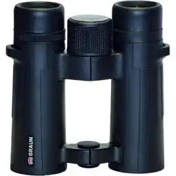 Netto Marken-Discount BRAUN Compagno 10x34 WP Angebot