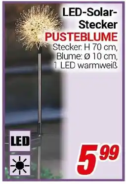 CENTERSHOP LED-Solar Stecker PUSTEBLUME Angebot