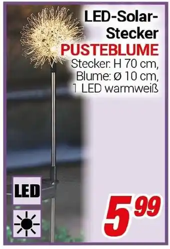 CENTERSHOP LED-Solar Stecker PUSTEBLUME Angebot