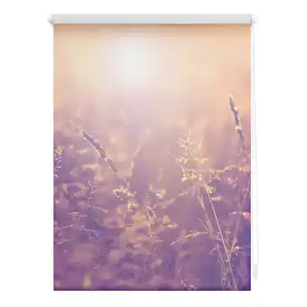 Netto Marken-Discount Lichtblick Rollo Klemmfix, ohne Bohren, Verdunkelung, Sommerabend - Orange Angebot