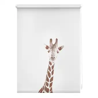 Netto Marken-Discount Lichtblick Rollo Klemmfix, ohne Bohren, Verdunkelung, Giraffe - Braun Angebot