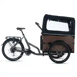 Netto Marken-Discount Adore Adore Cargo E-Bike Urban Deluxe grau Angebot