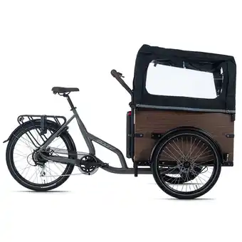 Netto Marken-Discount Adore Adore Cargo E-Bike Urban Deluxe grau Angebot