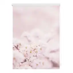 Netto Marken-Discount Lichtblick Rollo Klemmfix, ohne Bohren, Verdunkelung, Kirschblüten - Rosa Weiß Angebot