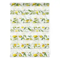 Netto Marken-Discount Lichtblick Duo Rollo Klemmfix, ohne Bohren, blickdicht, Limone - Gelb Grün Angebot