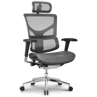 Netto Marken-Discount CLP Bürostuhl Spokane Ergonomic I Ergonomischer Schreibtischstuhl I Kopfstütze Angebot