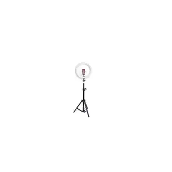 Netto Marken-Discount BRAUN PHOTO Handyhalterung VloggKit versch. Größen Angebot