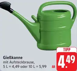 Gebauer's Gieẞkanne Angebot