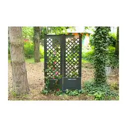 Netto Marken-Discount KHW Spalier mit Erdspieß 43 cm - 2er-Set, anthrazit Angebot
