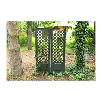 Netto Marken-Discount KHW Spalier mit Erdspieß 43 cm - 2er-Set, anthrazit Angebot