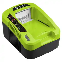 Netto Marken-Discount Zipper ZI-LGR40V Ladegerät Angebot