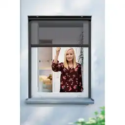 Netto Marken-Discount Schellenberg Insektenschutzrollo für Fenster, 100 x 160 cm, anthrazit Angebot