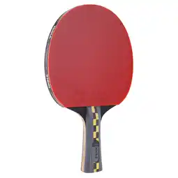 Netto Marken-Discount JOOLA Tischtennisschläger Carbon Pro Angebot