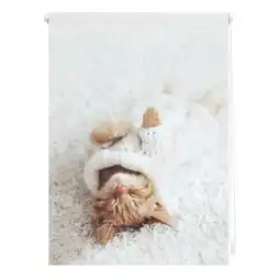 Netto Marken-Discount Lichtblick Rollo Klemmfix, ohne Bohren, Verdunkelung, Sleepy Cat - Weiß Angebot