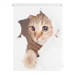 Netto Marken-Discount Lichtblick Rollo Klemmfix, ohne Bohren, Verdunkelung, Katze - Weiß Braun Angebot