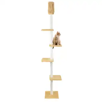 Netto Marken-Discount CAT DREAM Kratzbaum raumhoch beige Angebot