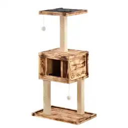 Netto Marken-Discount Silvio Design Katzenbaum Finn junior Angebot